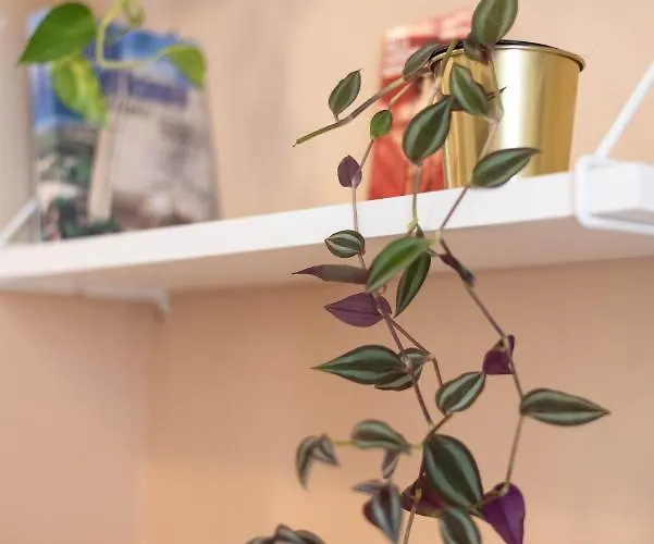 Гостевой дом Four 3*